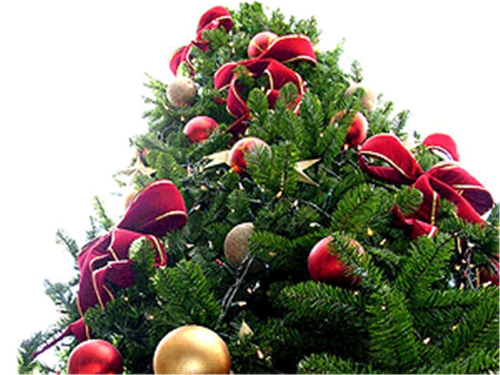 BUON NATALE!